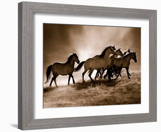 Wild Horses-Lisa Dearing-Framed Photo