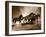 Wild Horses-Lisa Dearing-Framed Photo