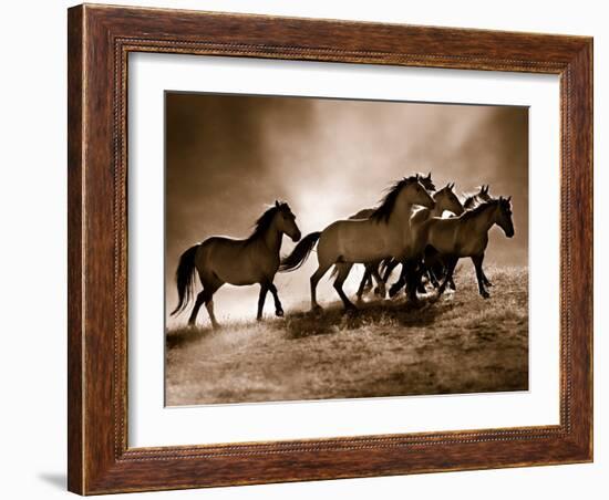 Wild Horses-Lisa Dearing-Framed Photo