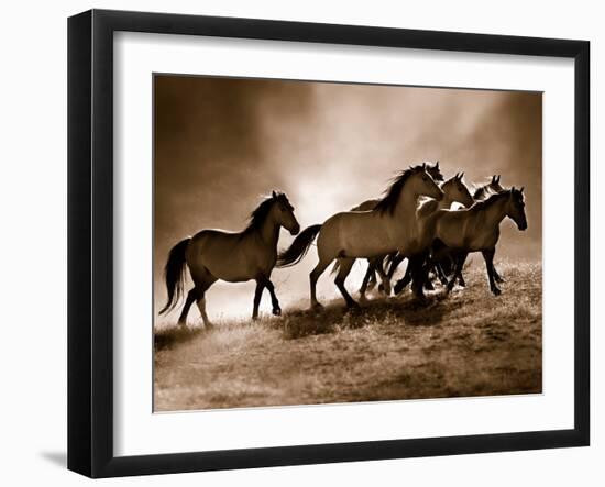 Wild Horses-Lisa Dearing-Framed Photo