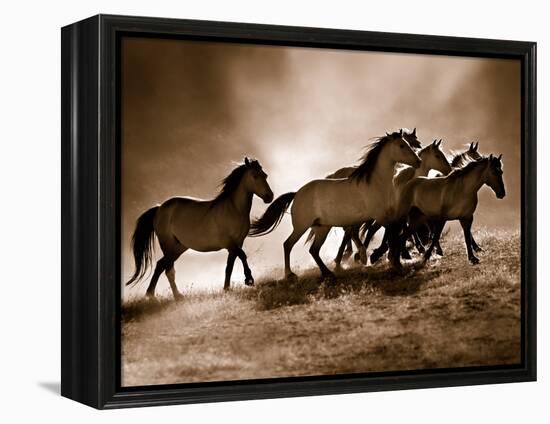 Wild Horses-Lisa Dearing-Framed Stretched Canvas