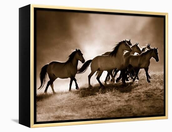 Wild Horses-Lisa Dearing-Framed Stretched Canvas