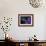 Wild Iris, Oregon Coast, USA-Michele Westmorland-Framed Photographic Print displayed on a wall