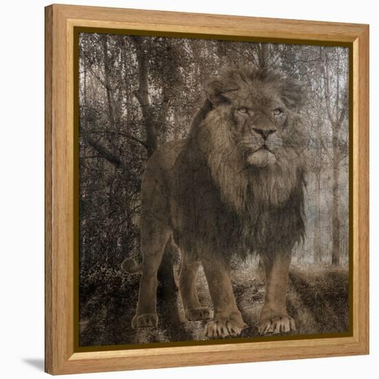 Wild Jungle 2-Sheldon Lewis-Framed Stretched Canvas