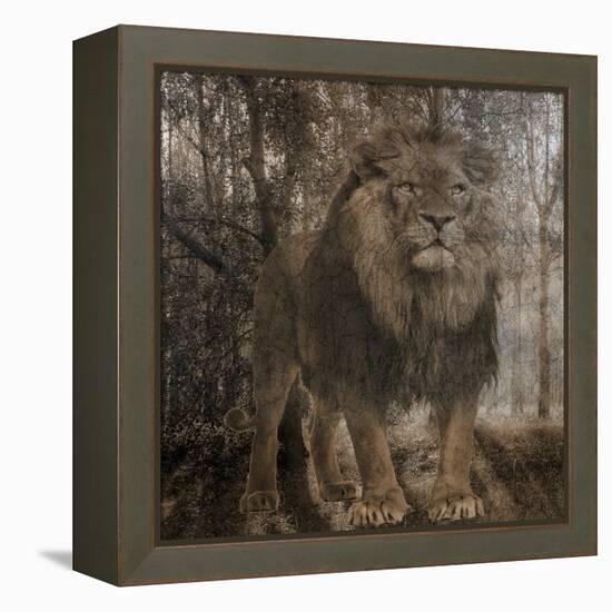 Wild Jungle 2-Sheldon Lewis-Framed Stretched Canvas