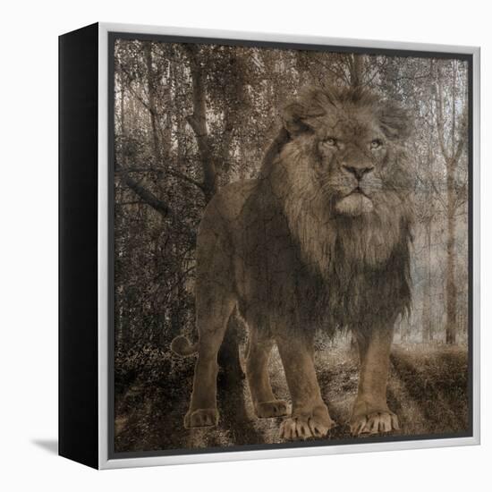 Wild Jungle 2-Sheldon Lewis-Framed Stretched Canvas