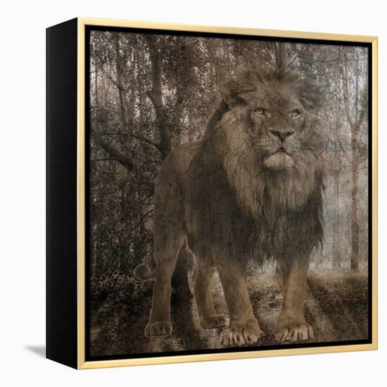 Wild Jungle 2-Sheldon Lewis-Framed Stretched Canvas