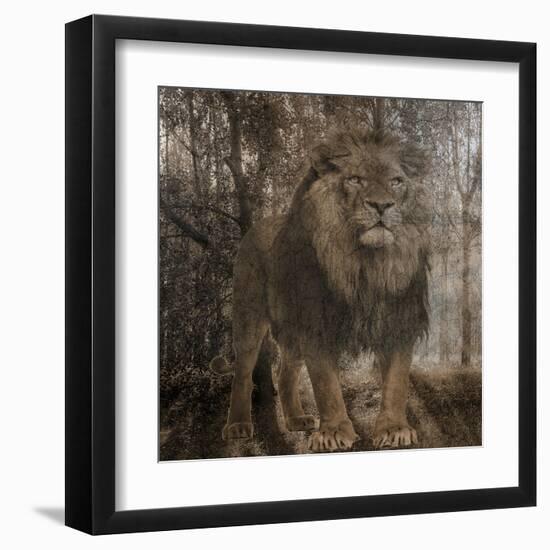 Wild Jungle 2-Sheldon Lewis-Framed Art Print