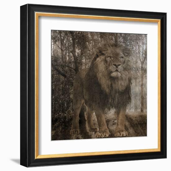 Wild Jungle 2-Sheldon Lewis-Framed Art Print