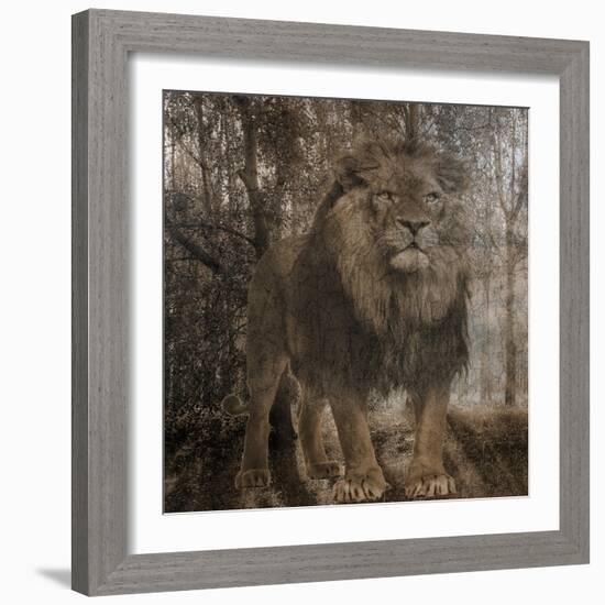 Wild Jungle 2-Sheldon Lewis-Framed Art Print