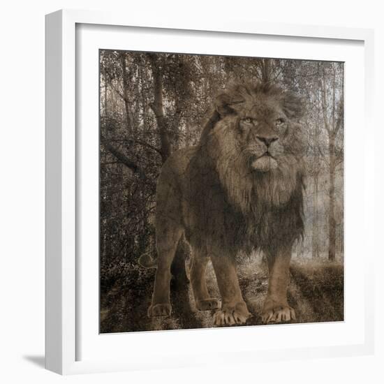 Wild Jungle 2-Sheldon Lewis-Framed Art Print