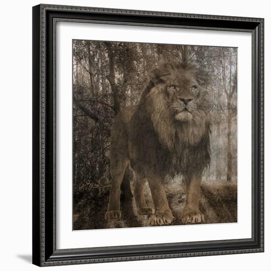 Wild Jungle 2-Sheldon Lewis-Framed Art Print