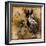 Wild Kingdom IV-Georgie-Framed Giclee Print