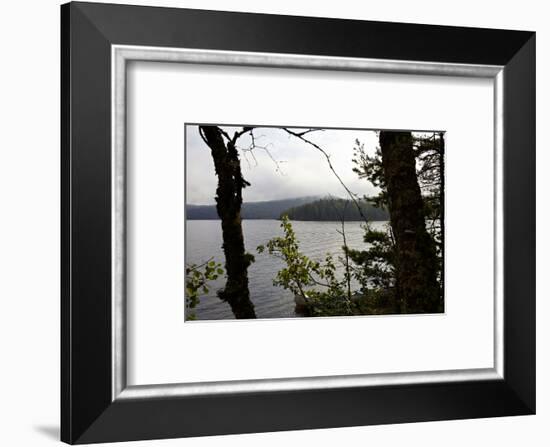 Wild landscape, Lelång Lake, Dalsland, Götaland, Sweden-Andrea Lang-Framed Photographic Print