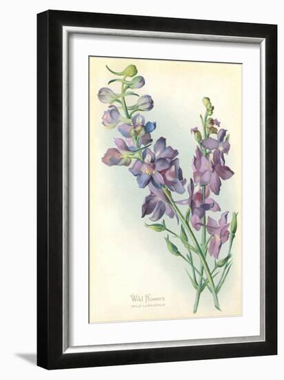 Wild Larkspur-null-Framed Art Print