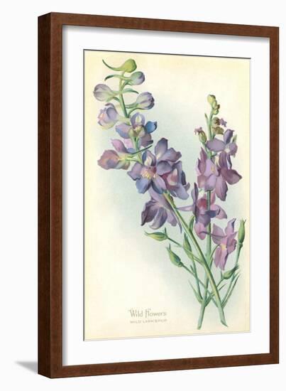 Wild Larkspur-null-Framed Art Print