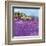 Wild Lavender, Provence-Hazel Barker-Framed Art Print