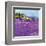 Wild Lavender, Provence-Hazel Barker-Framed Art Print