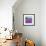 Wild Lavender, Provence-Hazel Barker-Framed Art Print displayed on a wall