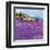 Wild Lavender, Provence-Hazel Barker-Framed Art Print