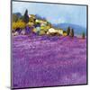 Wild Lavender, Provence-Hazel Barker-Mounted Art Print