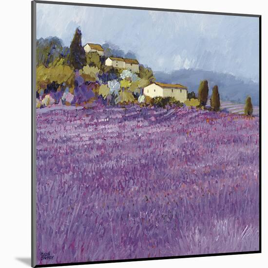 Wild Lavender, Provence-Hazel Barker-Mounted Giclee Print