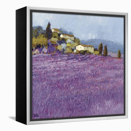 Wild Lavender, Provence-Hazel Barker-Framed Stretched Canvas