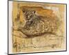 Wild Life II-Joadoor-Mounted Art Print