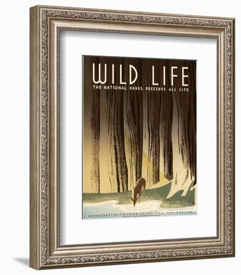 Wild Life; The National Parks Preserve All Life, ca. 1936-1940-Frank S. Nicholson-Framed Art Print