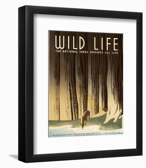 Wild Life; The National Parks Preserve All Life, ca. 1936-1940-Frank S. Nicholson-Framed Art Print