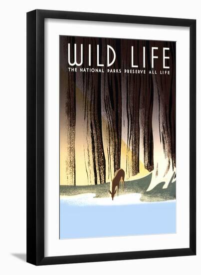 Wild Life-Frank S. Nicholson-Framed Art Print