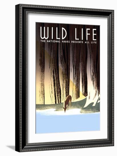 Wild Life-Frank S. Nicholson-Framed Art Print