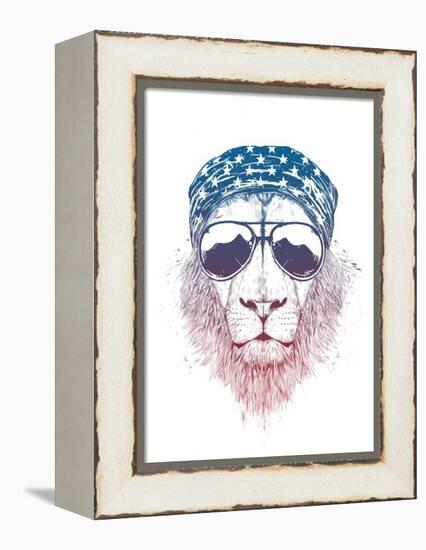 Wild Lion-Balazs Solti-Framed Stretched Canvas