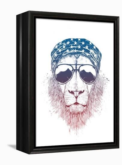 Wild Lion-Balazs Solti-Framed Stretched Canvas