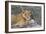 Wild Lioness Sitting On A Log Making Eye Contact With The Camera In Mana Pools, Zimbabwe-Karine Aigner-Framed Photographic Print