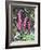 Wild Loosestrife-Christopher Ryland-Framed Giclee Print