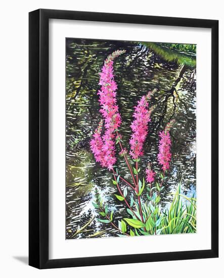 Wild Loosestrife-Christopher Ryland-Framed Giclee Print