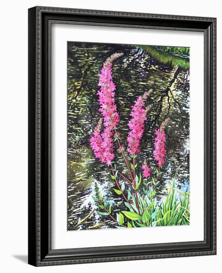 Wild Loosestrife-Christopher Ryland-Framed Giclee Print