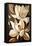 Wild Magnolia Flowers-Lea Faucher-Framed Stretched Canvas