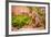 Wild Monkeys, Jaipur, Rajasthan, India, Asia-Laura Grier-Framed Photographic Print