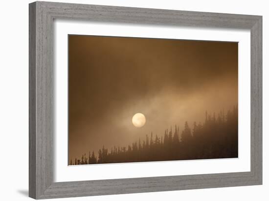 Wild Moon II-Dan Ballard-Framed Photographic Print