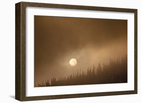 Wild Moon II-Dan Ballard-Framed Photographic Print