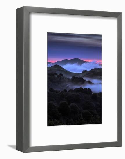 Wild Morning Fog at Sunrise East Bay Hills Mount Diablo Oakland-Vincent James-Framed Photographic Print