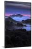 Wild Morning Fog at Sunrise East Bay Hills Mount Diablo Oakland-Vincent James-Mounted Photographic Print