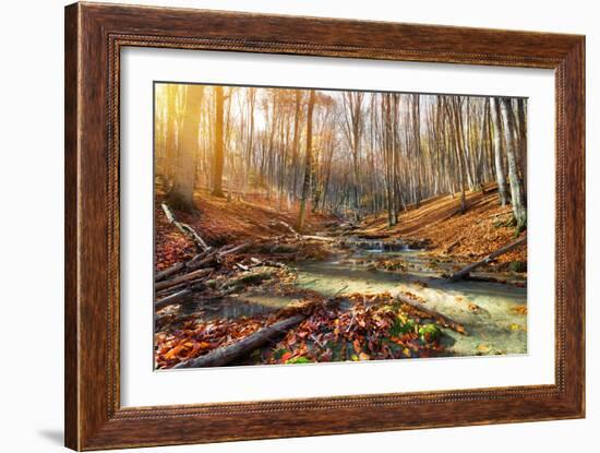 Wild Mountain River in the Autumn Forest-Givaga-Framed Photographic Print