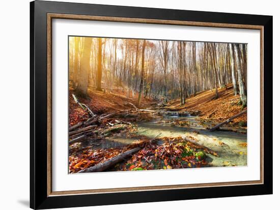 Wild Mountain River in the Autumn Forest-Givaga-Framed Photographic Print