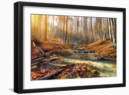 Wild Mountain River in the Autumn Forest-Givaga-Framed Photographic Print