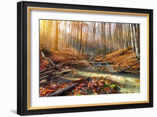 Wild Mountain River in the Autumn Forest-Givaga-Framed Photographic Print