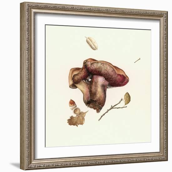 Wild Mushroom-Alison Cooper-Framed Giclee Print