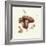 Wild Mushroom-Alison Cooper-Framed Giclee Print